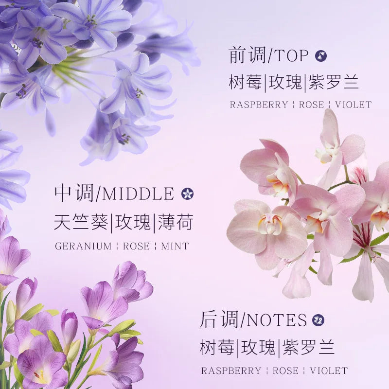 Splendide Encounter Purple Meets Eau De Parfum Light Fragrance Floral Vaporisateur Natural Spray 50ML Perfume