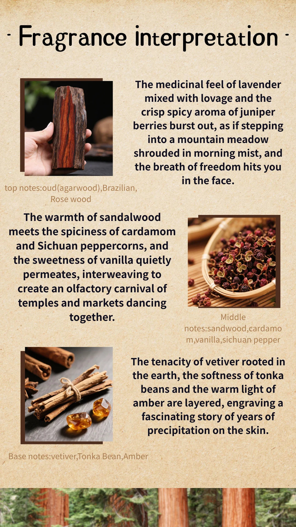Arabian Oud Perfume perfume unisex luxury woody spicy long lasting Dark Woody Unisex Fragrance - Rare Oud Sichuan Pepper Vetiver