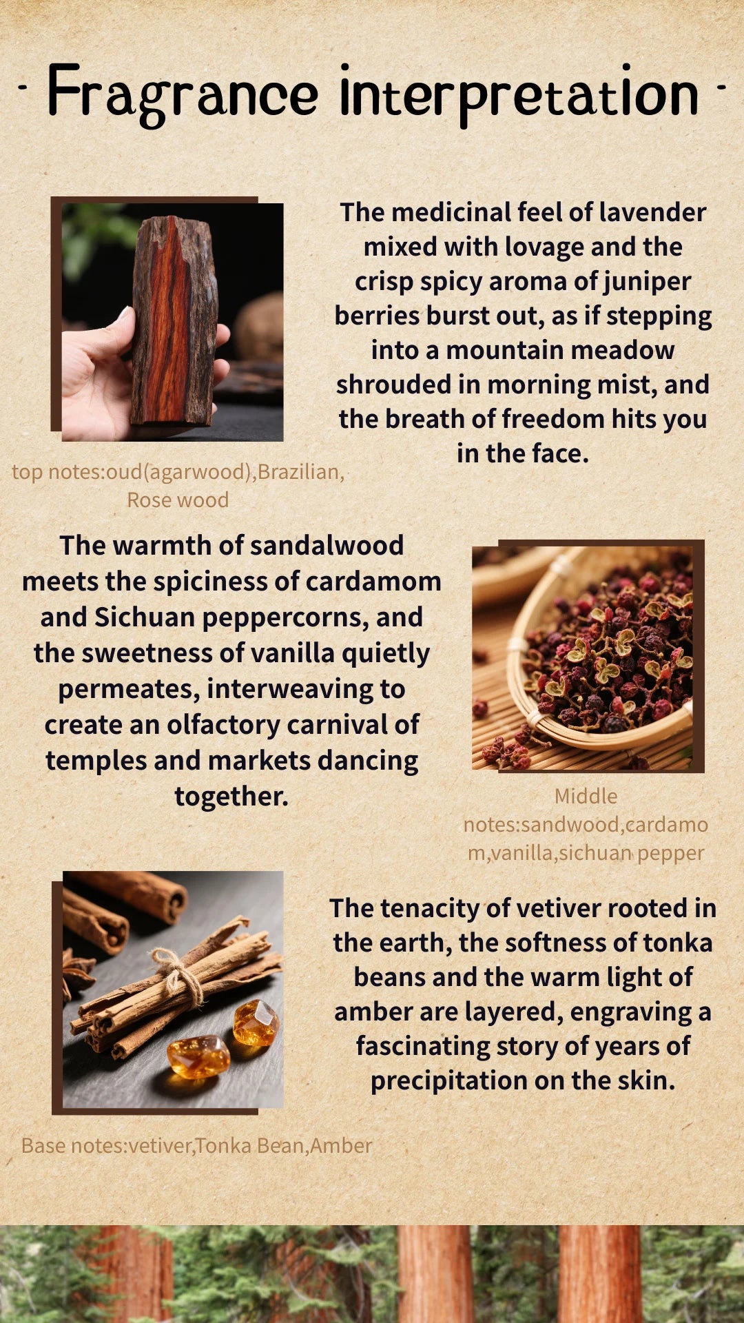 Arabian Oud Perfume perfume unisex luxury woody spicy long lasting Dark Woody Unisex Fragrance - Rare Oud Sichuan Pepper Vetiver