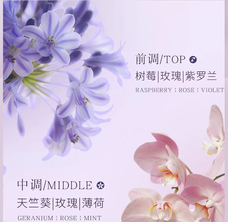 Splendide Encounter Purple Meets Eau De Parfum Light Fragrance Floral Vaporisateur Natural Spray 50ML Perfume
