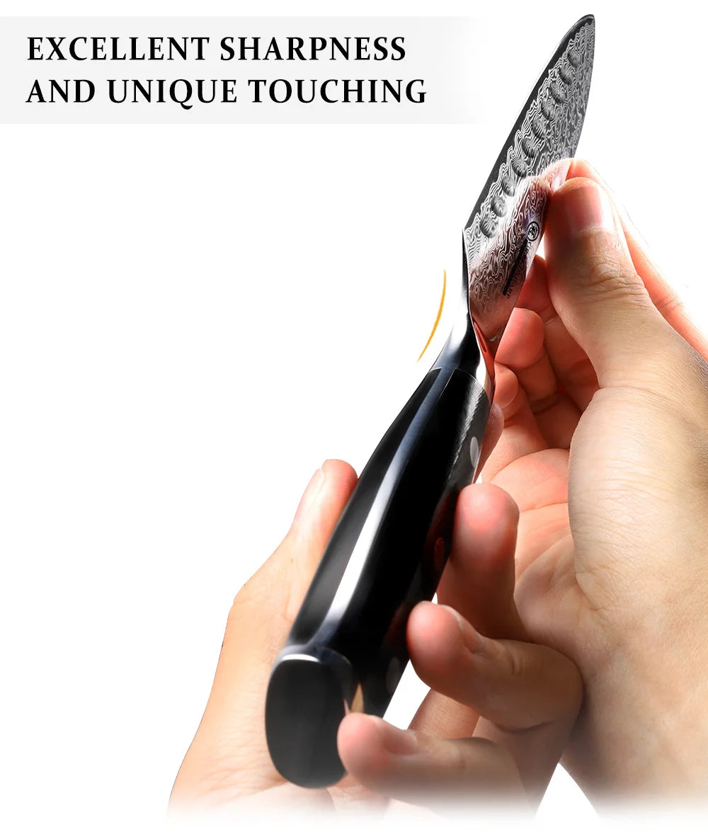 Santoku Knife 5 Inch AUS-10 Japanese Damascus Steel Kitchen Knife 67 Layers High Carbon Stainless Steel Chef Cooking Tools Sharp