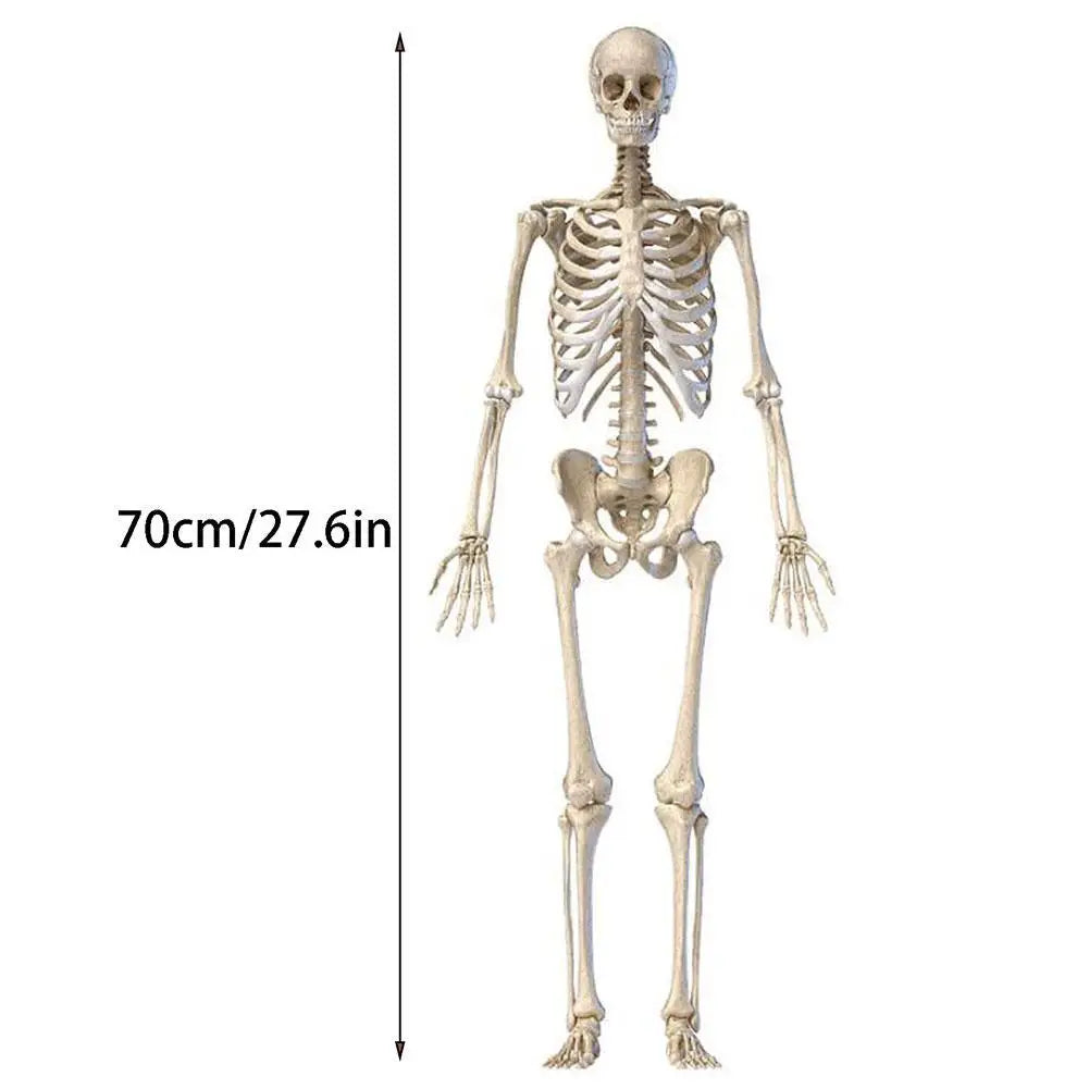 Halloween Human Skeleton Haunted House Hanging Props Home Evil Party Decoration Horror Scary Movable Big Skull Decorations