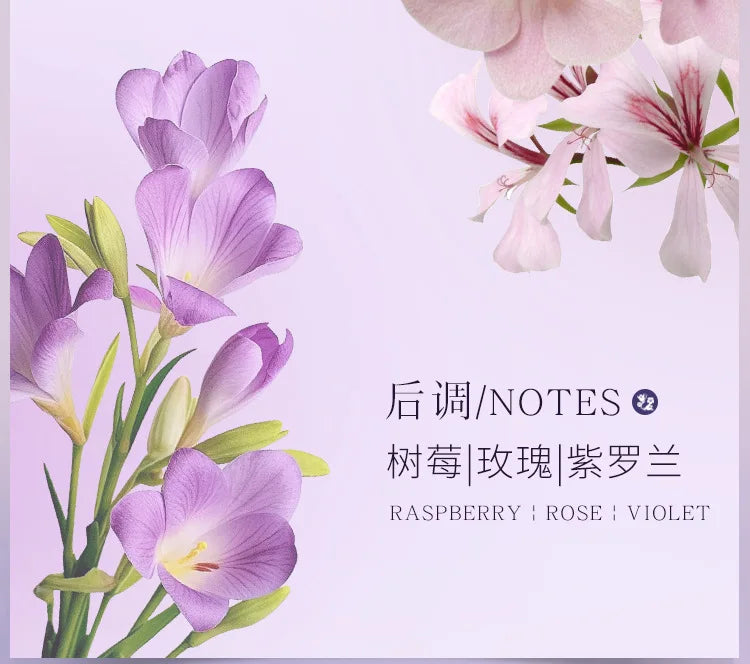 Splendide Encounter Purple Meets Eau De Parfum Light Fragrance Floral Vaporisateur Natural Spray 50ML Perfume