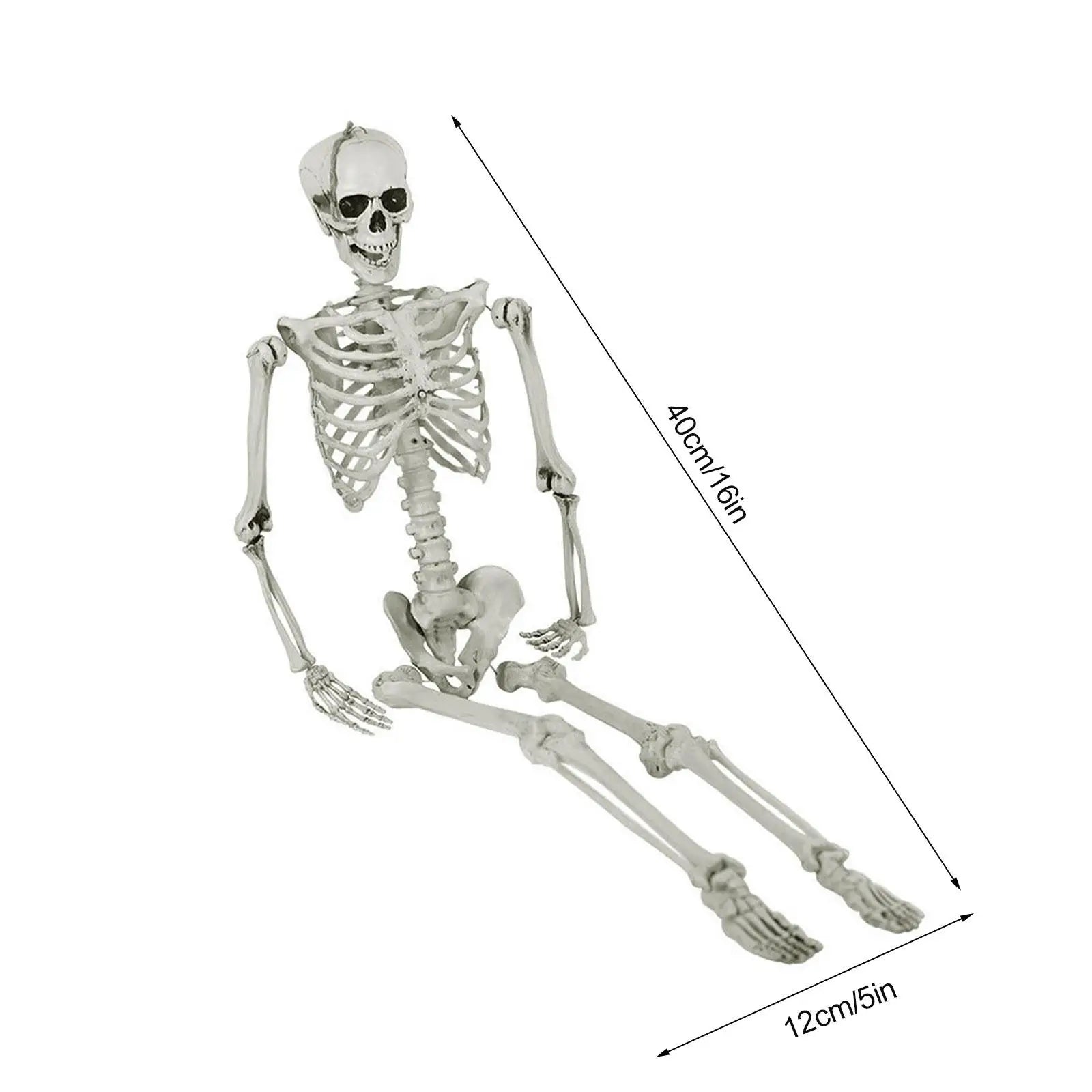 Halloween Human Skeleton Haunted House Hanging Props Home Evil Party Decoration Horror Scary Movable Big Skull Decorations