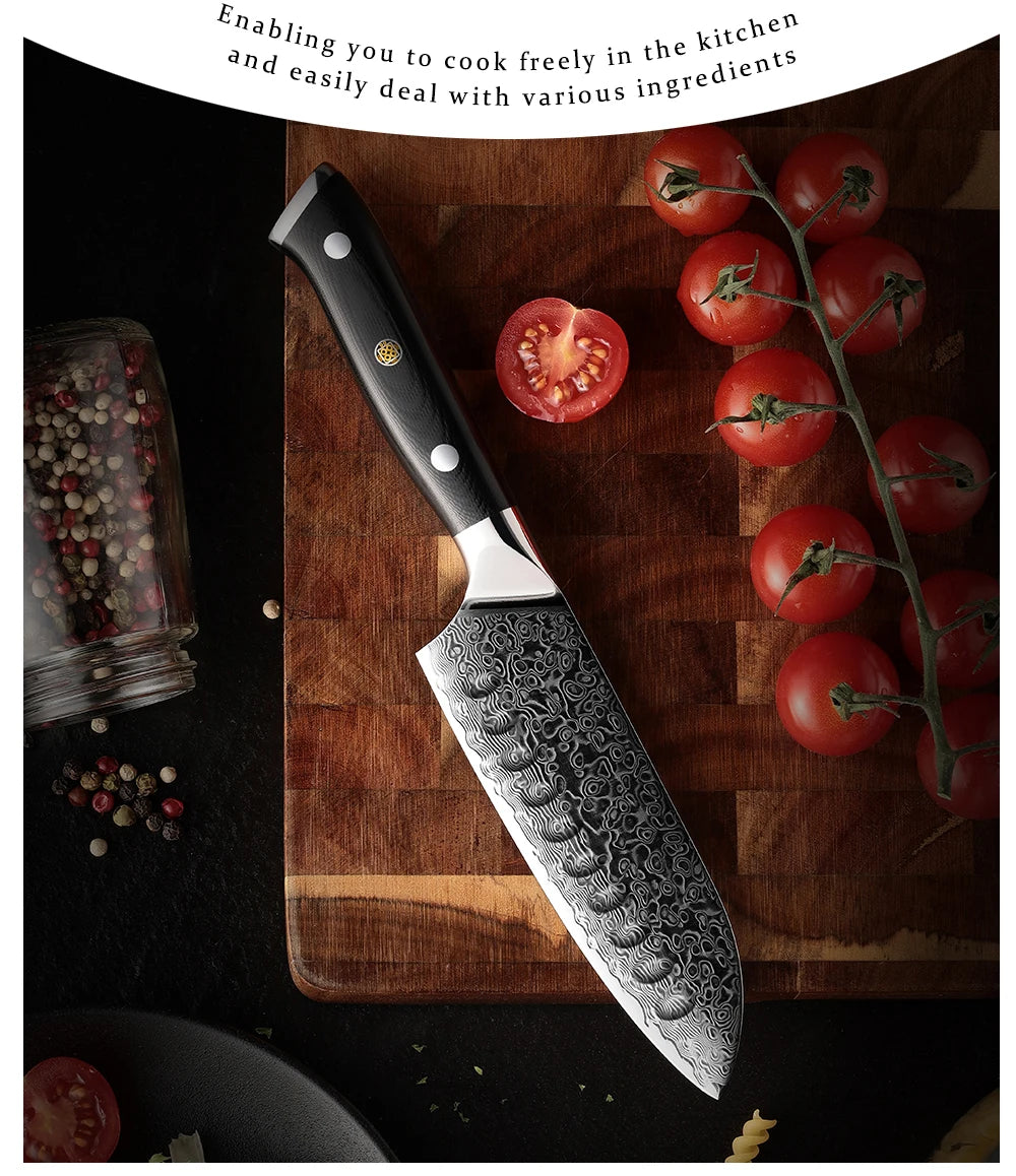 Santoku Knife 5 Inch AUS-10 Japanese Damascus Steel Kitchen Knife 67 Layers High Carbon Stainless Steel Chef Cooking Tools Sharp