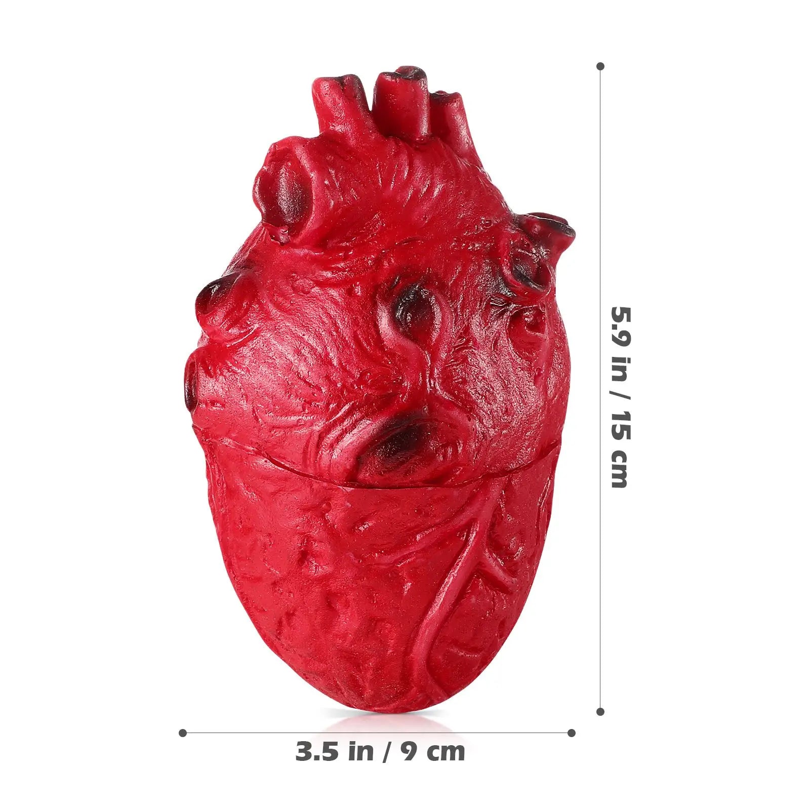 Halloween Heart Prop Bodyprops Parts Scary Fakeparty Simulation Decoration Horrible Part Blood Decorations House Haunted Pranks